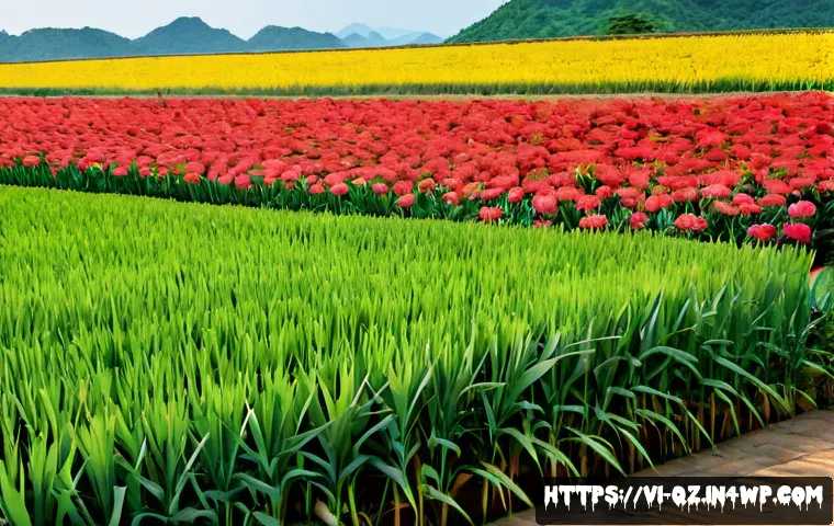 Công nghệ VR hỗ trợ rèn luyện nhận thức: Khi nào đáng đầu tư và cách chọn giải pháp phù hợp 4 인지능력 향상을 위한 가상현실 기술 관련 이미지 2